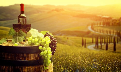 Italy Food & Wine Tour